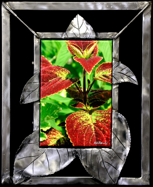 Five Leaves