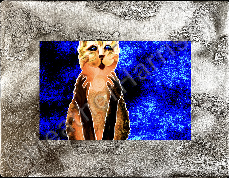 It's a Mere Cat!