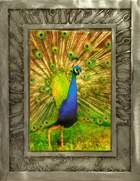 Peacock