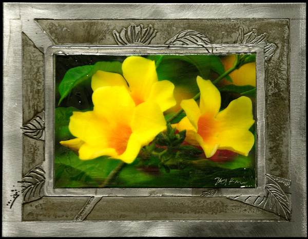 Three Yellow Flowers