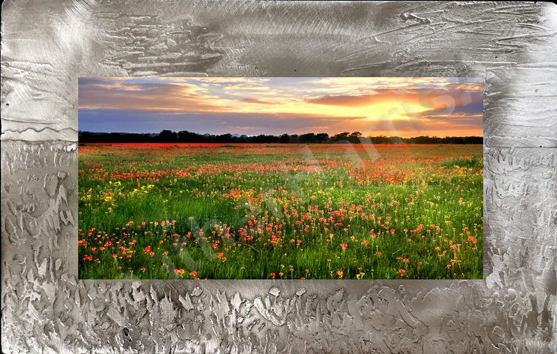 Red Flower Field