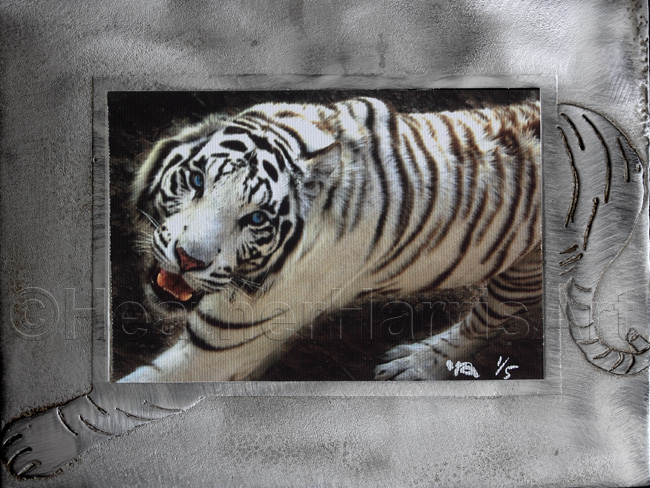 White Tiger