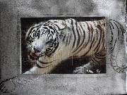 White Tiger