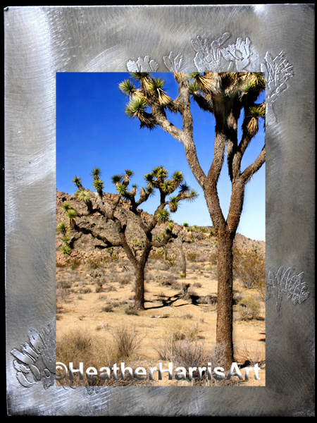 Joshua Tree National Park