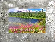 Mt Rainier
