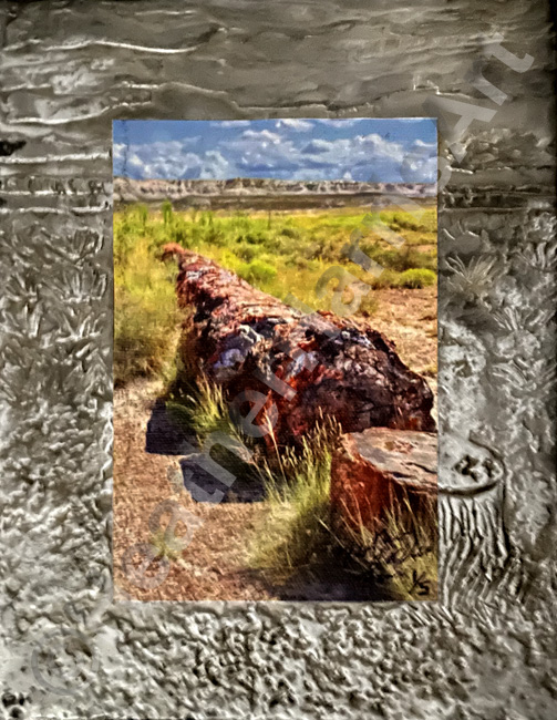 Petrified Forest National Park