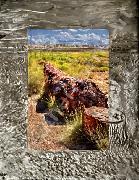 Petrified Forest National Park