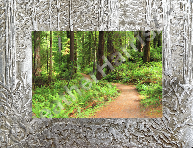 Redwood National Park