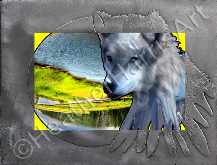 Reintroduction